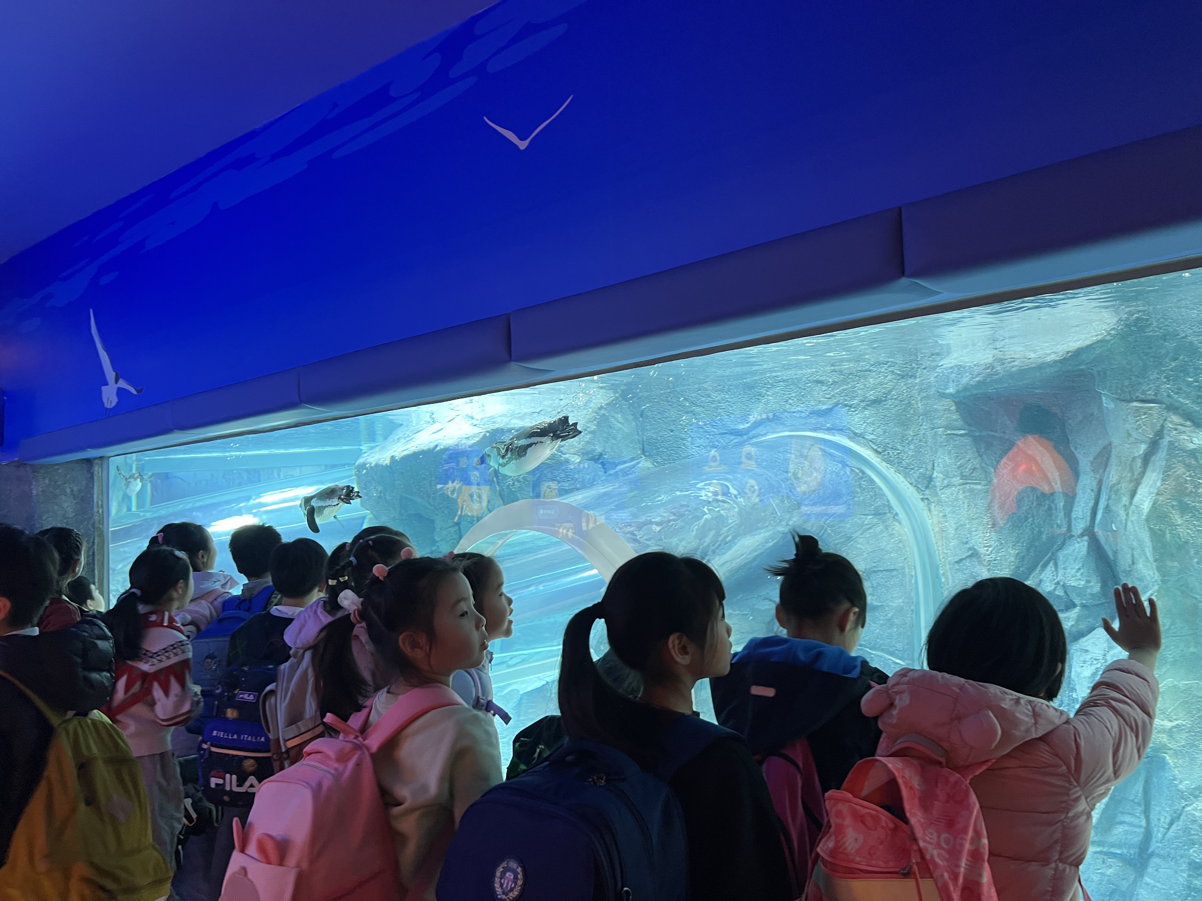企鹅8.jpg