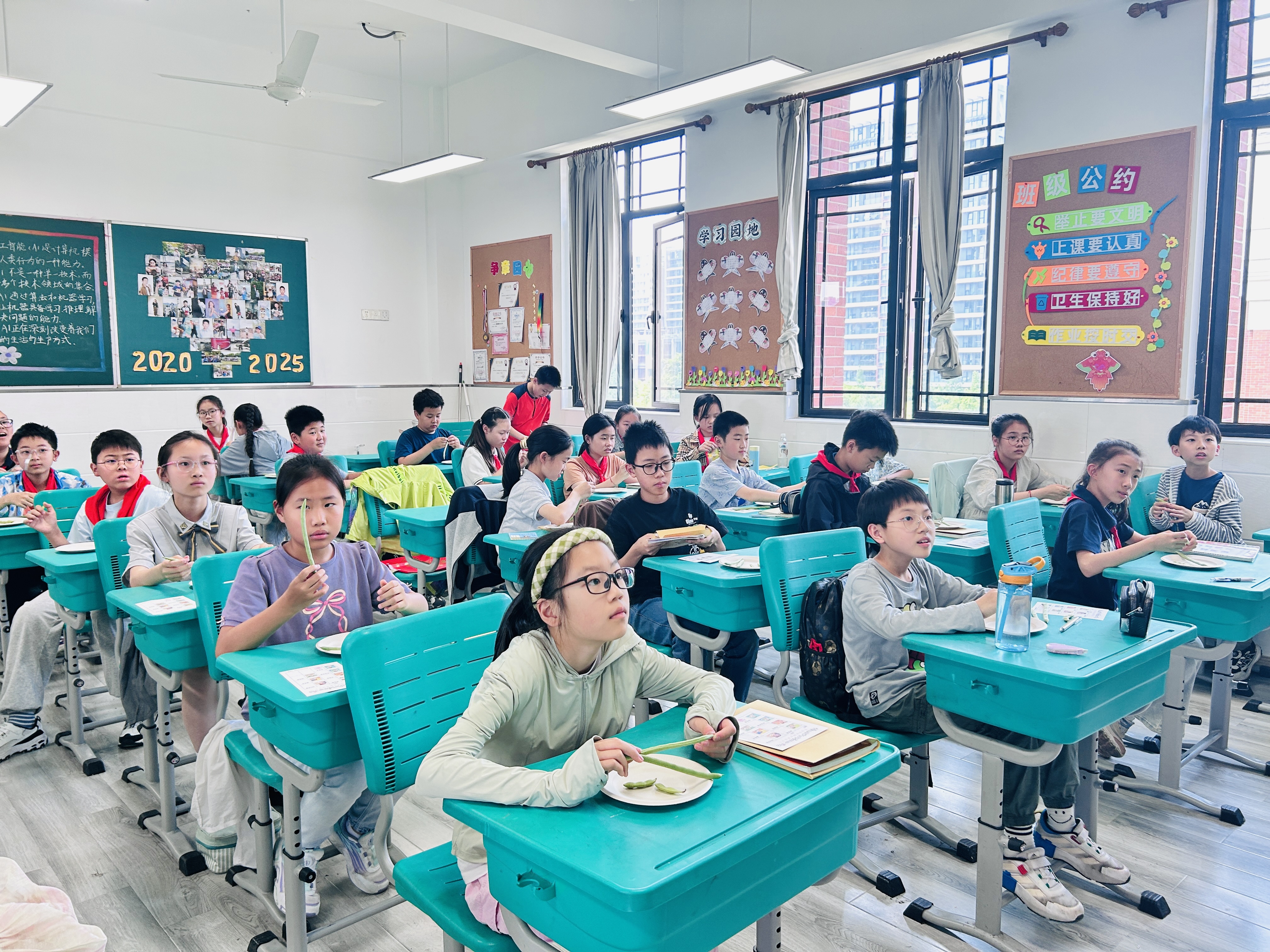 剥豆全景.jpg